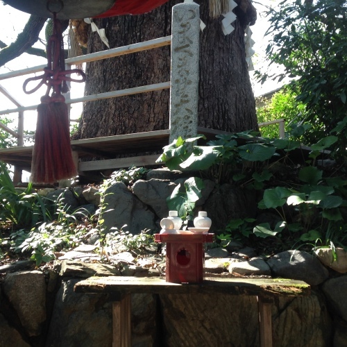 三連休「国宝展」「おもしろ市」_b0153663_14115086.jpeg