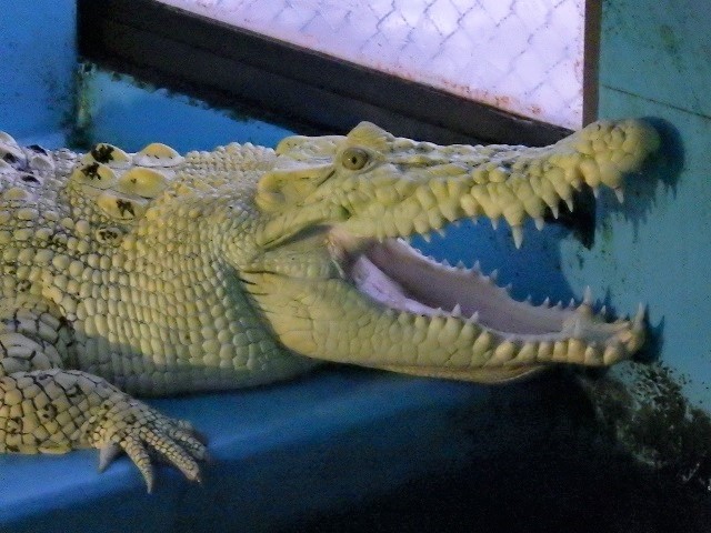 c0105569_02212754.jpg