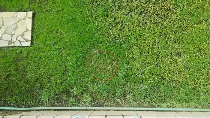 e0094270_10084015.jpg