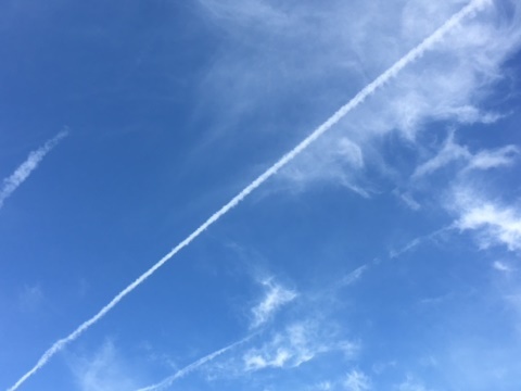 e0364975_20521007.jpg