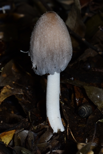 f0348480_13470352.jpg