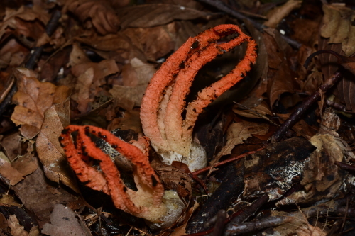 f0348480_13512241.jpg