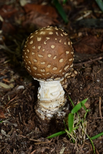 f0348480_13534611.jpg