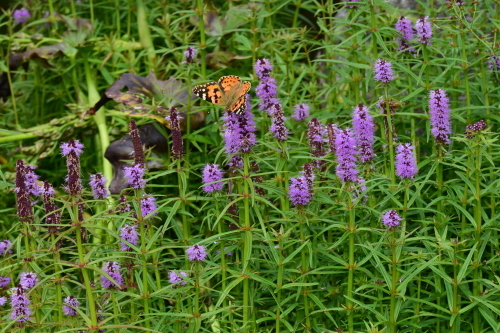 f0348480_14033739.jpg