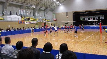 f0003283_20231443.jpg