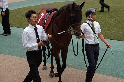 毎日王冠は、リアルスティールが復活Ｖ、重賞３勝目を飾る_b0015386_22512456.jpg