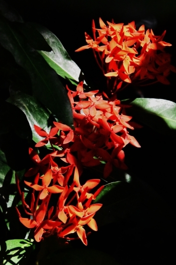 b0329186_08175538.jpg