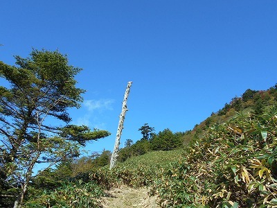 f0308898_17181942.jpg