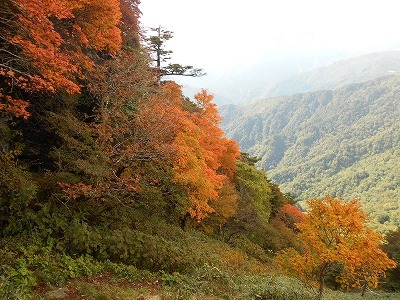 f0308898_17332514.jpg