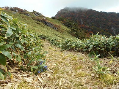 f0308898_17362830.jpg