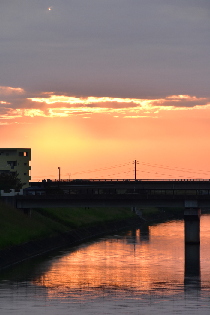 宮崎の朝　(*^_^*)_c0049299_21552371.jpg