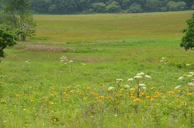 c0124100_23272623.jpg