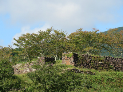 c0125501_22351216.jpg