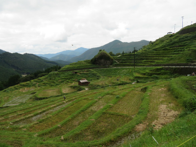 c0125501_22370971.jpg