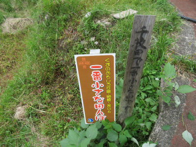 c0125501_22372759.jpg