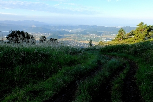 秋の伊吹山①見かけた野草_e0304001_15372827.jpg