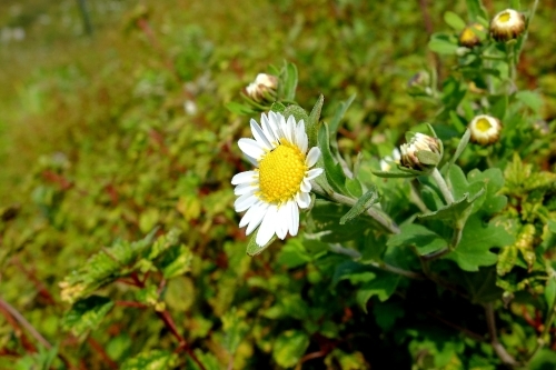 e0304001_16131060.jpg