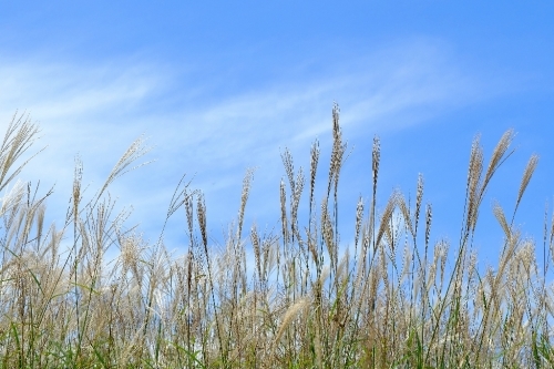 e0304001_16265857.jpg