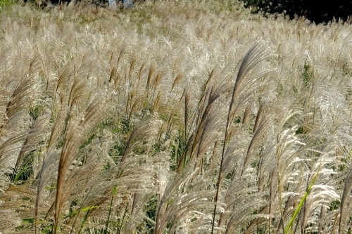 e0304001_16270223.jpg