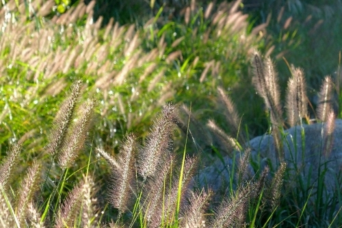 e0304001_16443503.jpg