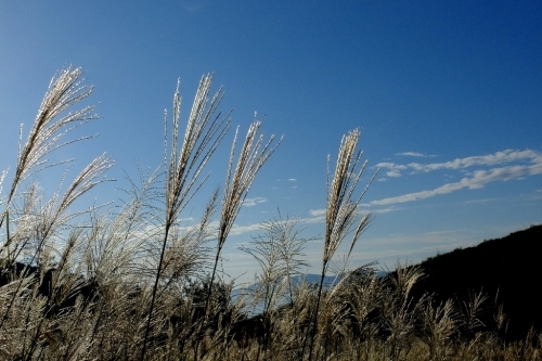 e0304001_16444106.jpg