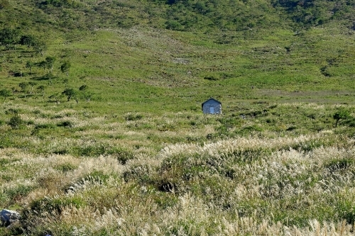 e0304001_16444268.jpg