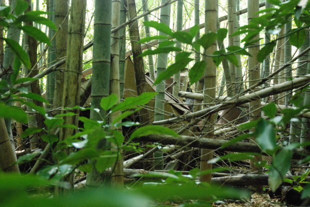 d0359503_20530031.jpg