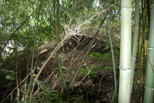 d0359503_20535187.jpg