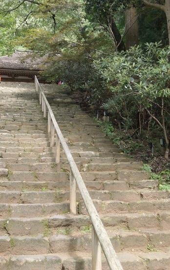 室生寺から長谷寺へ_a0122205_13460854.jpg