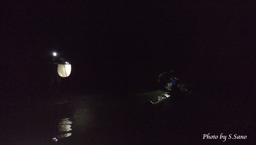 夜の川でヨシノボリ採集_b0348205_22045151.jpg