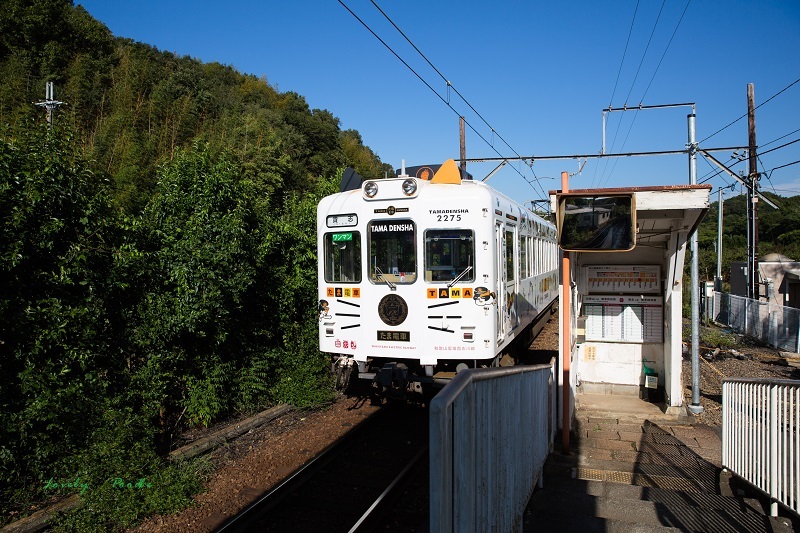 TAMA    DENSHA   ♪_d0257606_00534713.jpg