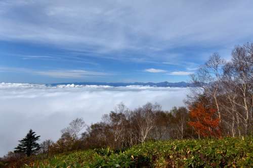 2017年10月 飯縄山～長野市民に親しまれる好展望の二百名山を歩く_d0372906_06021978.jpg