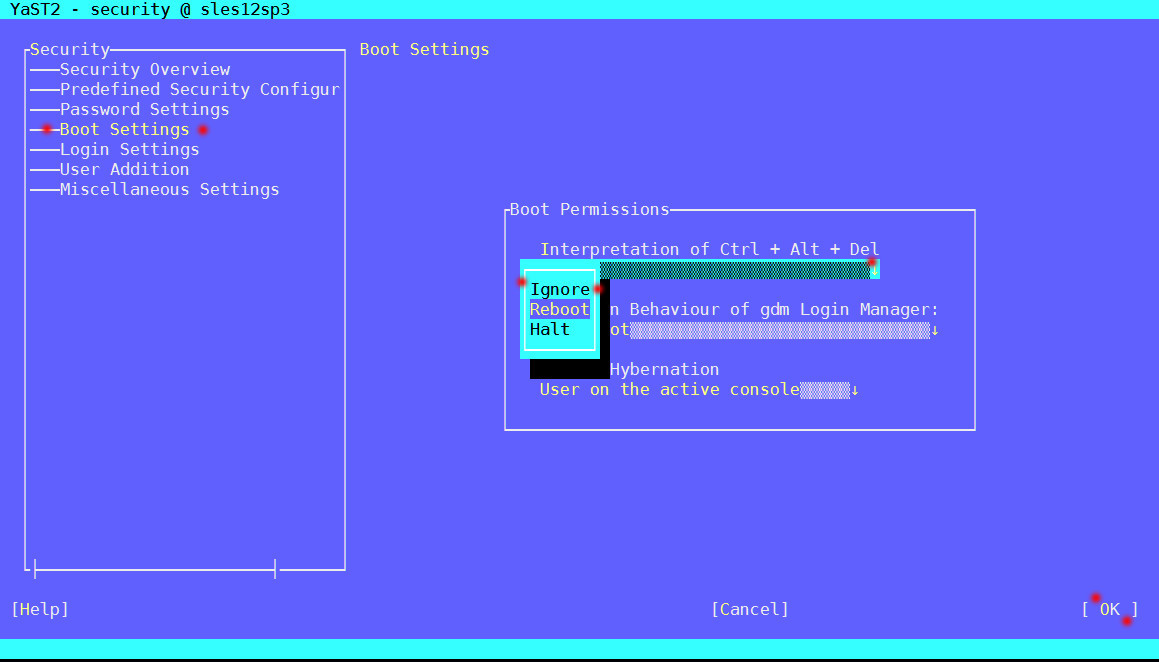 SUSE Linux, SLES12, Ctrl+Alt+Del で誤操作で Reboot させない_a0056607_18261915.jpg