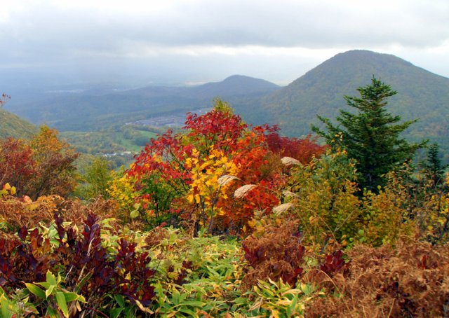 a0345007_103229.jpg