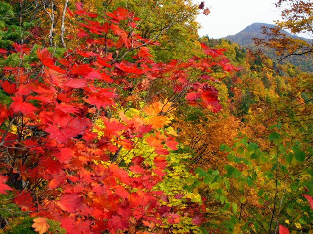 a0345007_1736257.jpg