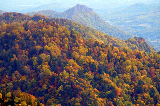 a0345007_17431165.jpg