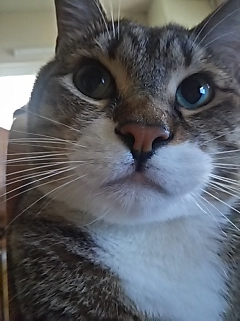 f0316507_13392423.jpg