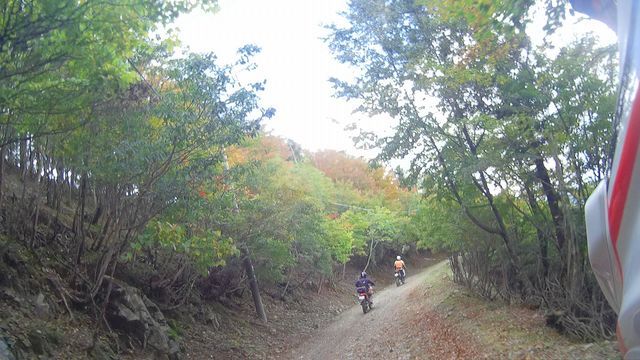 e0118908_12410531.jpg