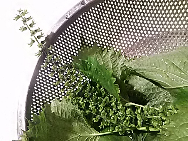 f0024708_16105735.jpg
