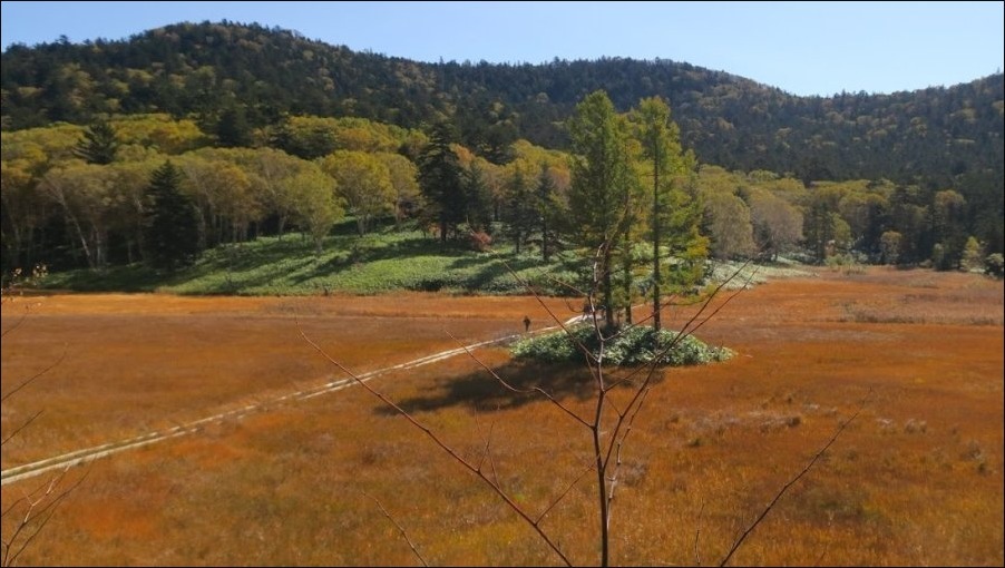 尾瀬沼（群馬県利根郡片品）_b0086909_10383611.jpg