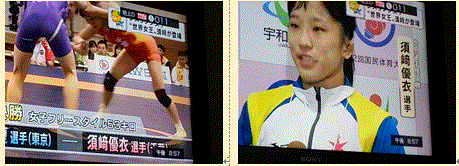 f0231709_10355225.gif