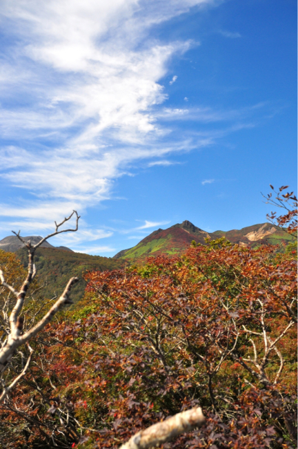 f0329311_09202336.jpg
