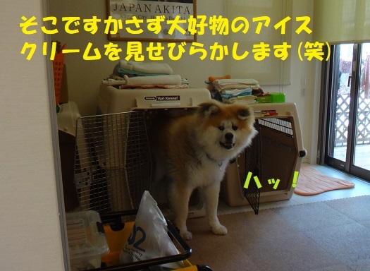 f0121712_14121404.jpg