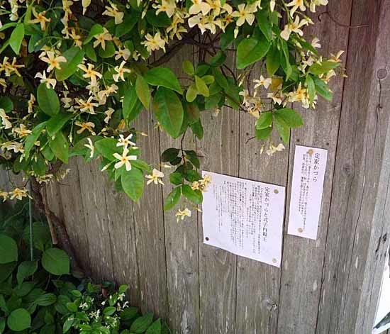 c0009413_17265391.jpg