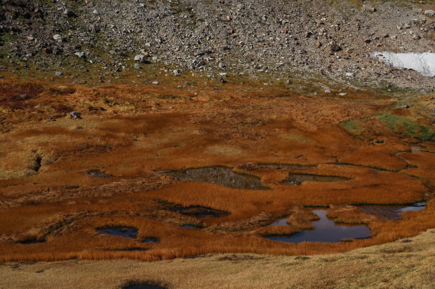 d0103314_23210723.jpg