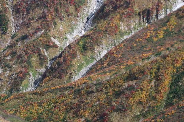 d0103314_23224573.jpg