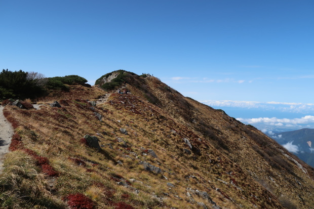 d0103314_23242764.jpg