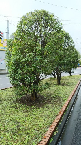 馬場陽子先生♪_e0091114_14112923.jpg