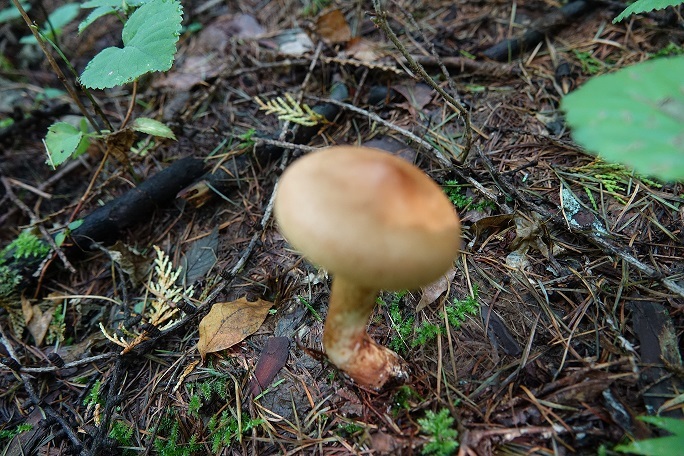 f0360815_15225277.jpg
