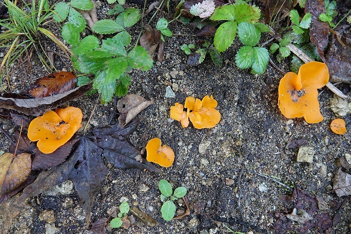 f0360815_15225370.jpg